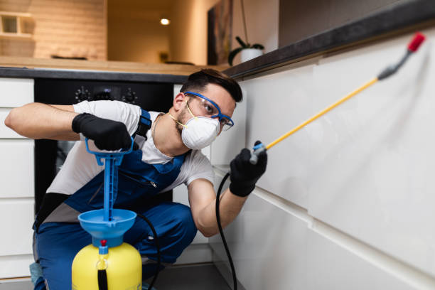 Wildlife Control Services in Mentone, CA