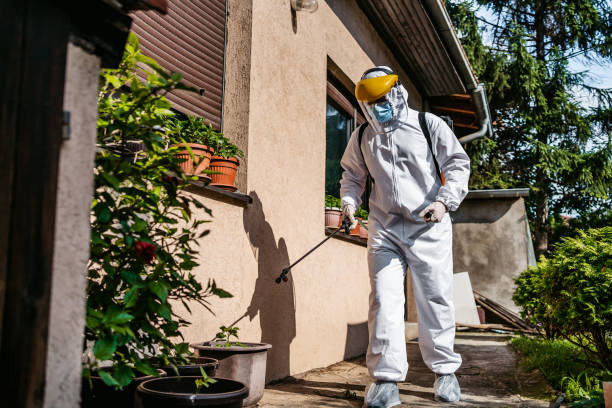 Best Best Pest Control Companies  in Mentone, CA