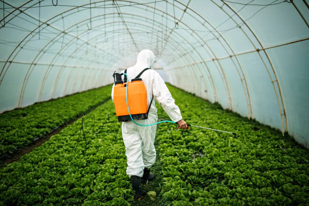 Best Residential Pest Control  in Mentone, CA