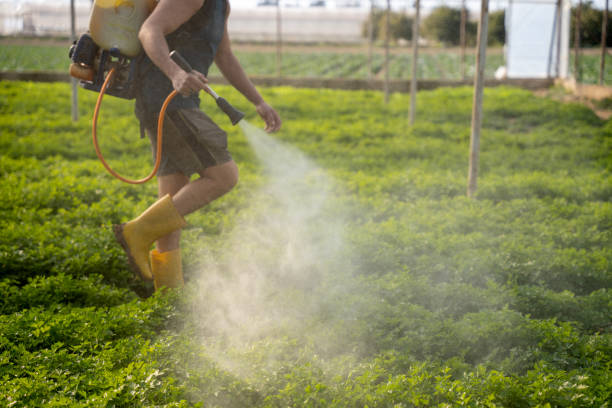 Best Pest Prevention Services  in Mentone, CA
