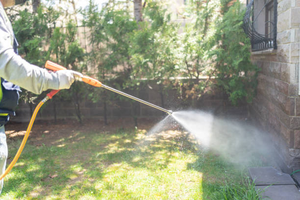 Best Spider Control Near Me  in Mentone, CA