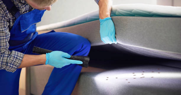 Pest Control Cost in Mentone, CA