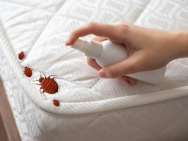 Best Mosquito Control Services  in Mentone, CA