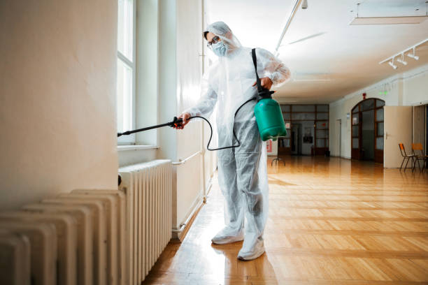 Best Affordable Pest Control Services  in Mentone, CA